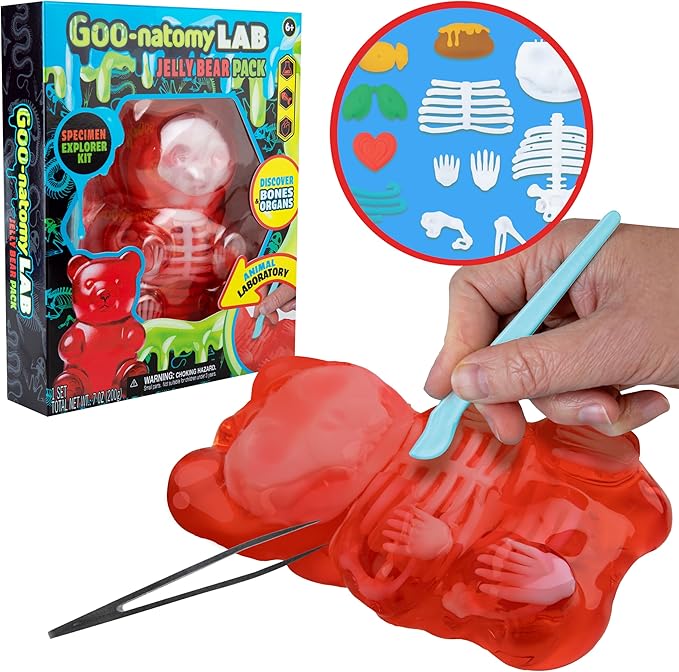Goo-natomy Lab Jelly Bear