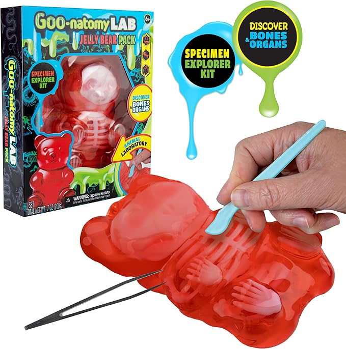 Goo-natomy Lab Jelly Bear