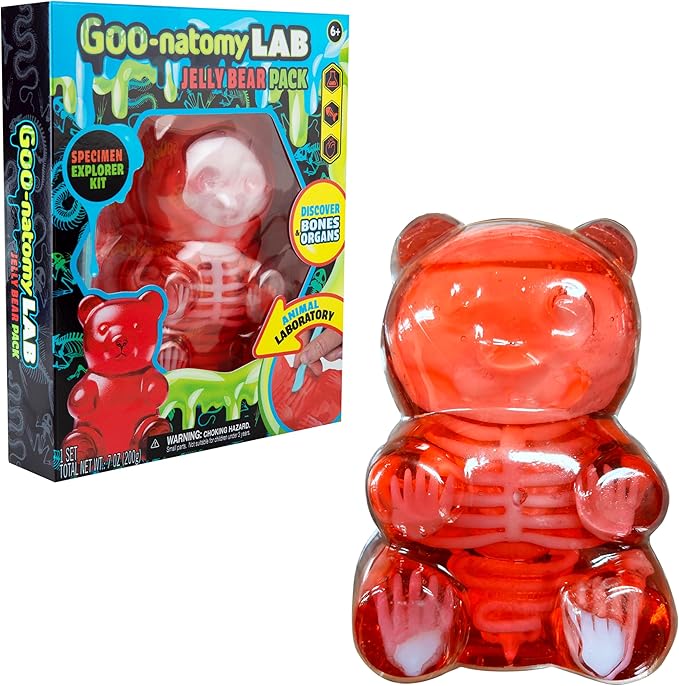Goo-natomy Lab Jelly Bear