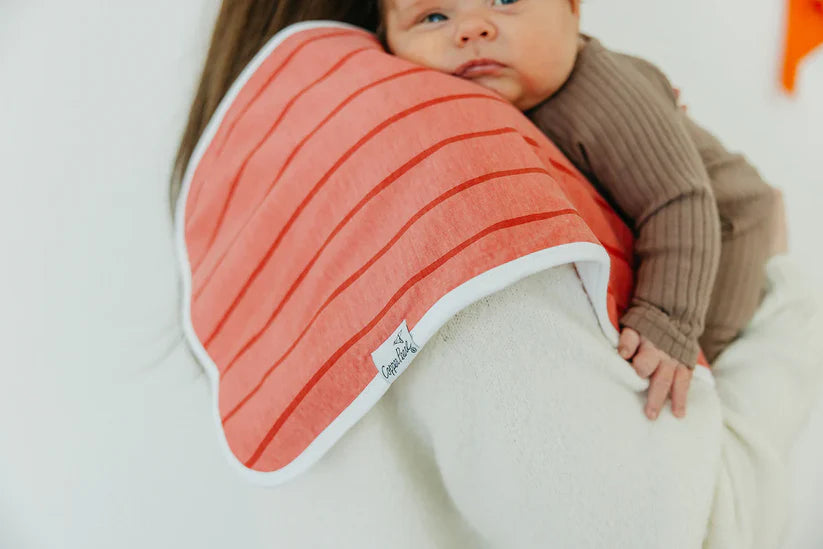 Farmstead Burp Cloth Set