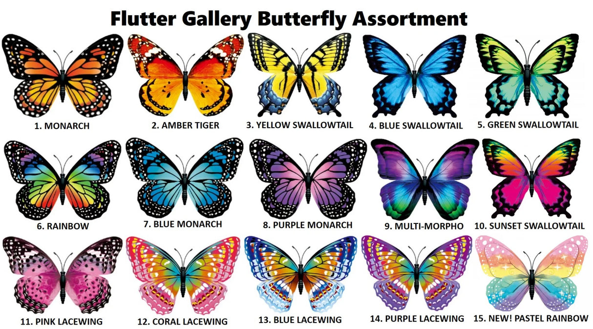 Flutter Butterfly Clips