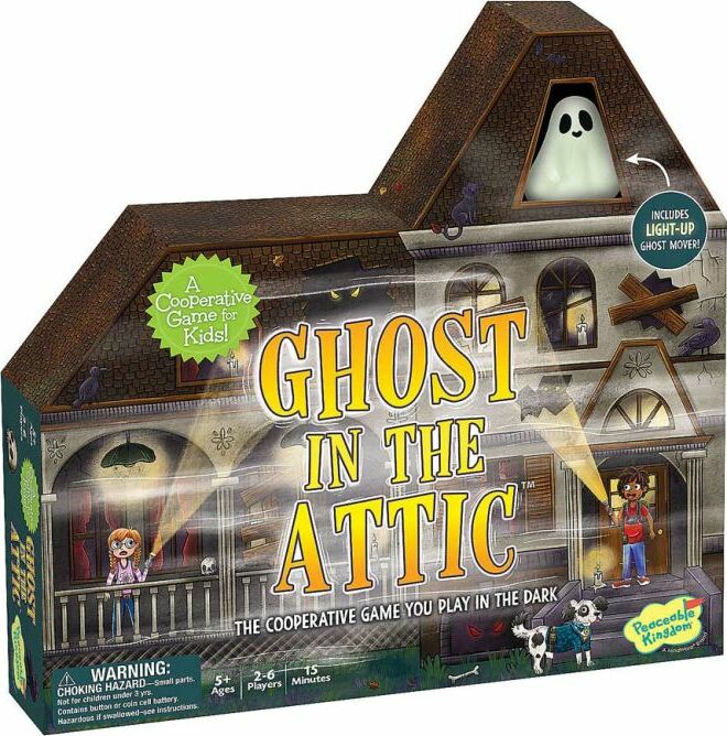 Ghost in the Attic Cooperative Game