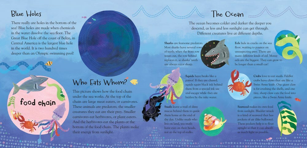 A Hole in the Bottom of the Sea