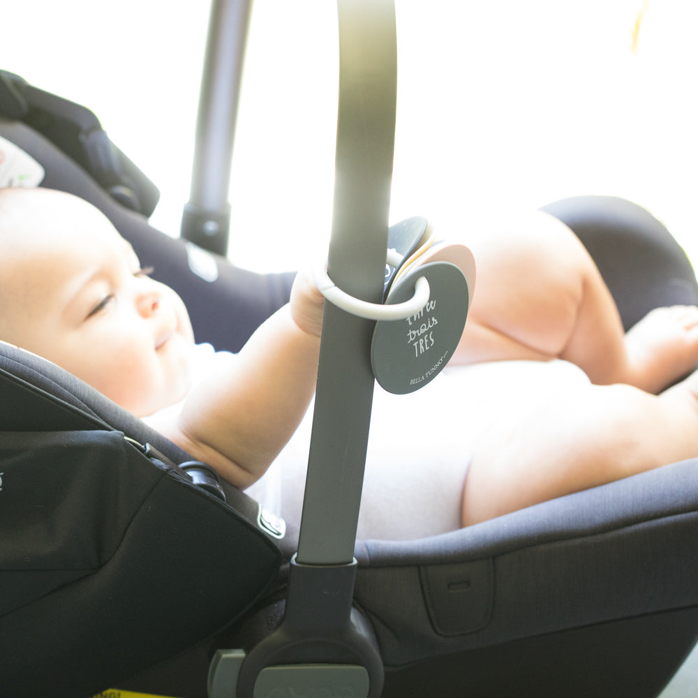 Count On It Teething Flashcards