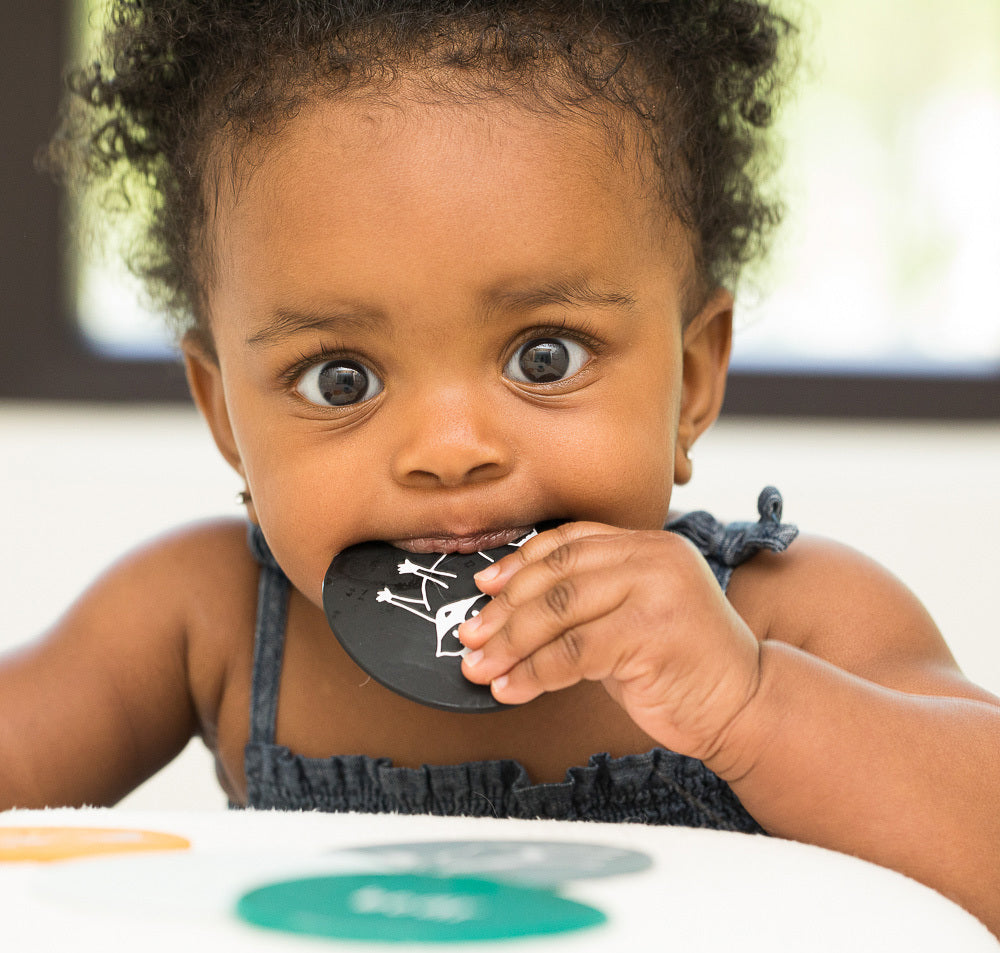 Forest Friends Teething Flashcards