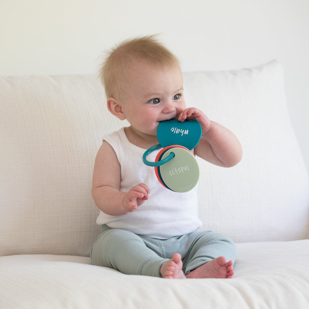 Under the Sea Teething Flashcards