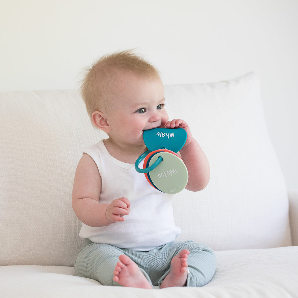 Under the Sea Teething Flashcards