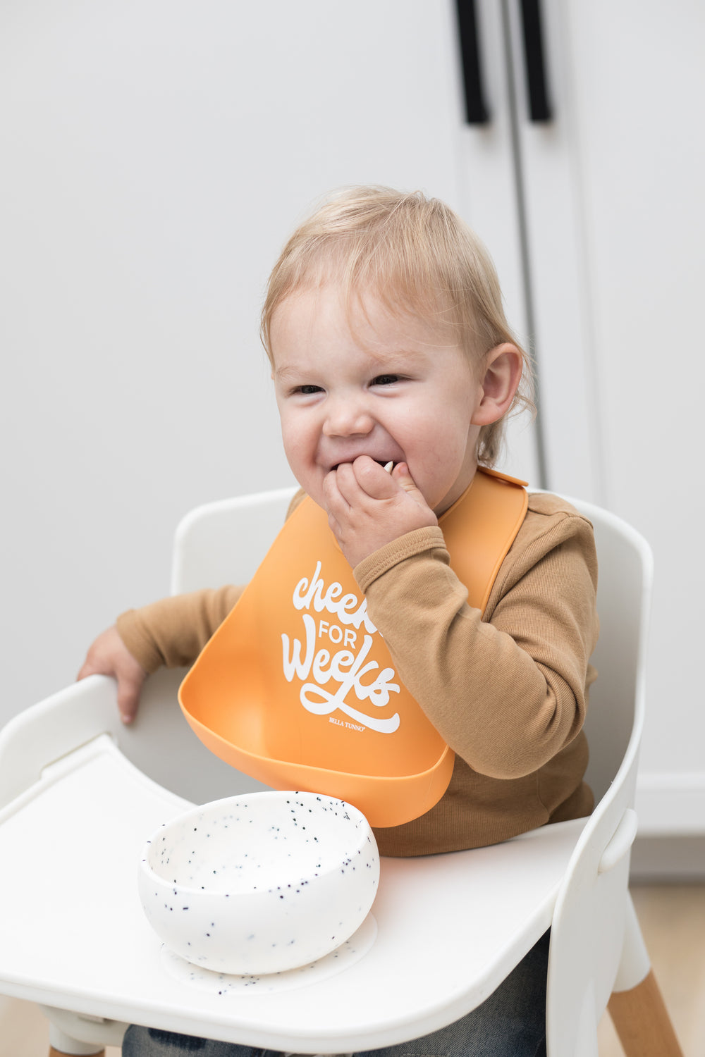 Cheeks for Weeks Wonder Bib