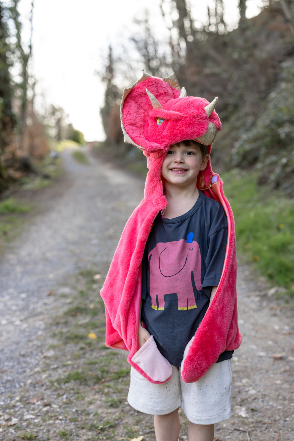 Red Triceratops Cuddle Cape (Size 3-4)
