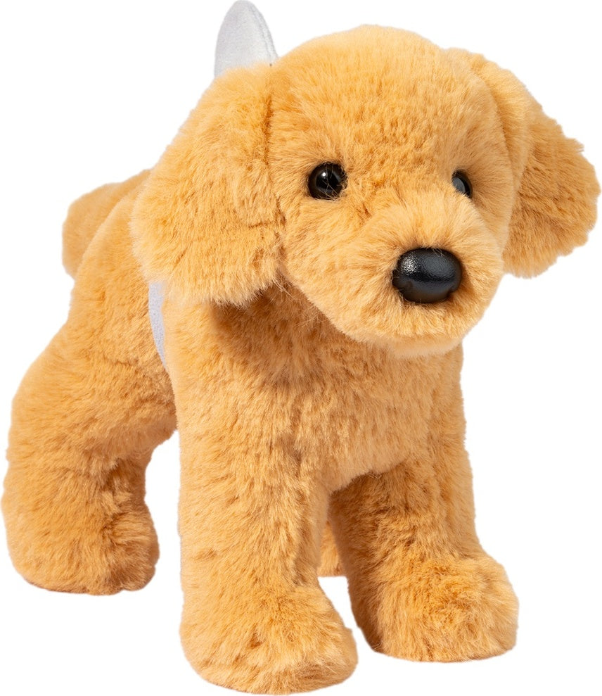 Sharky Golden Retriever