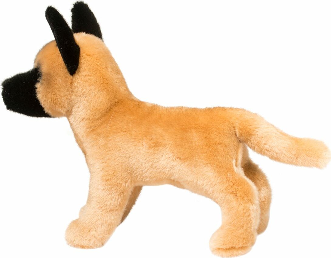 Klaus Belgian Malinois
