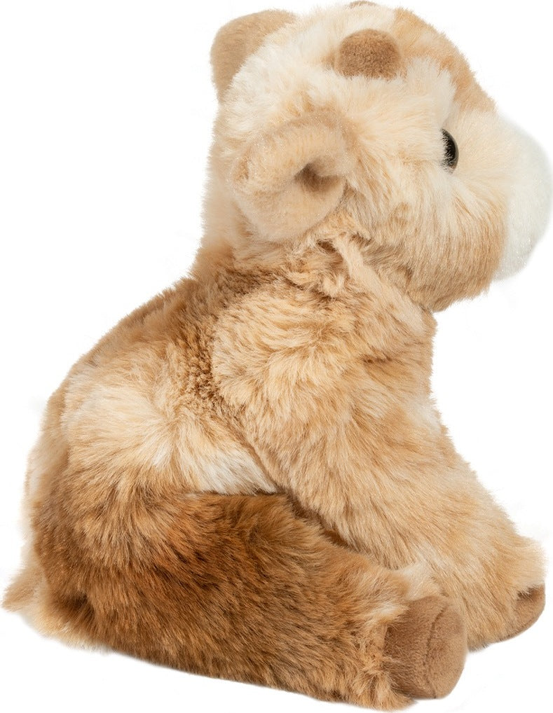 Mini Dandie Soft Goat