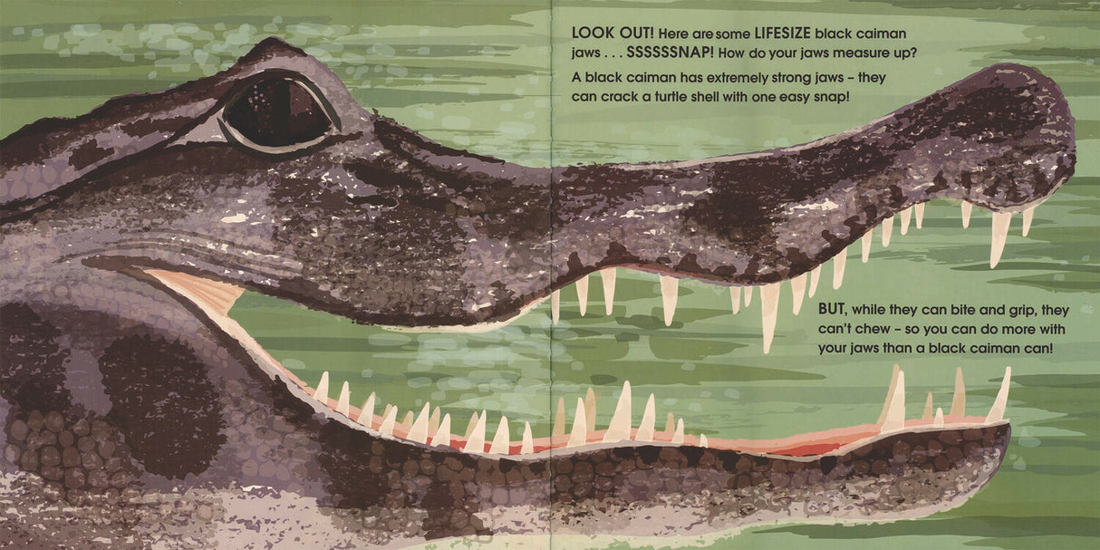Lifesize Deadly Animals