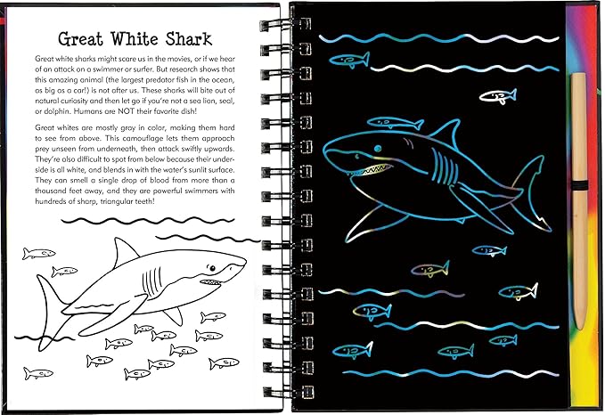 Scratch & Sketch Sharks (Trace-Along): An Art Activity Book
