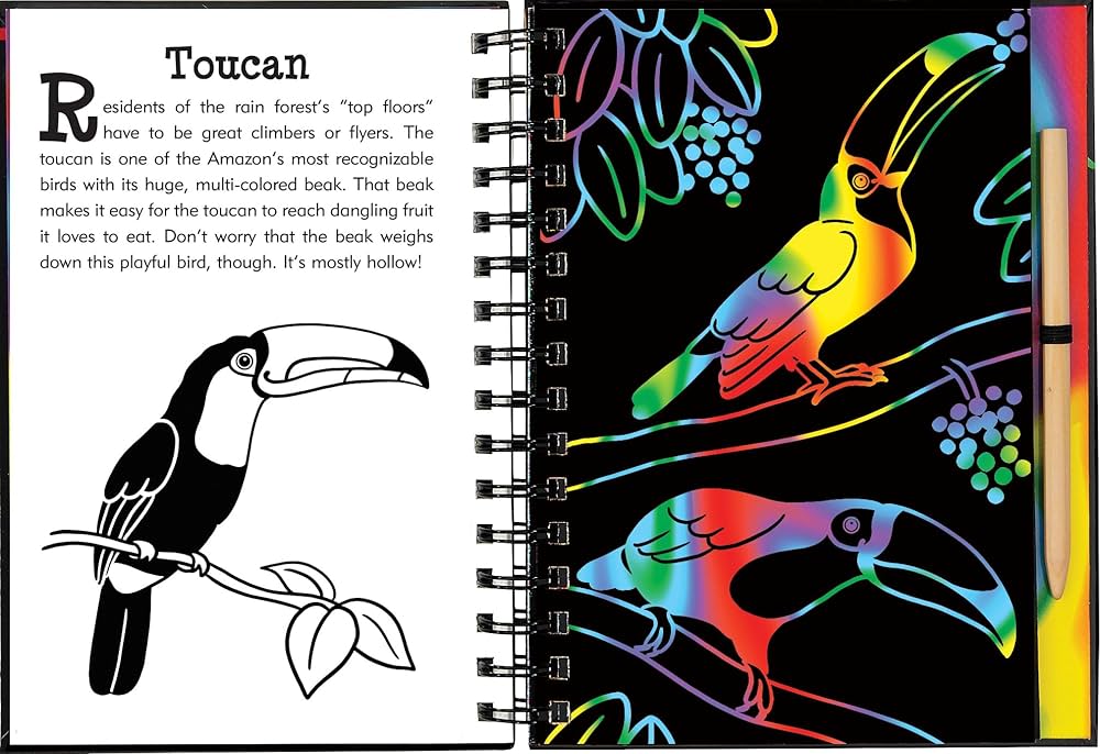 Scratch & Sketch Rain Forest (Trace-Along): An Art Activity Book