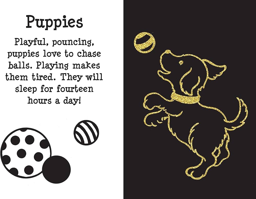 Scratch & Sketch Furry Friends (Trace-Along): An Art Activity Book