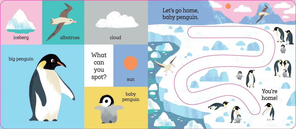 Let's Go Home, Baby Penguin