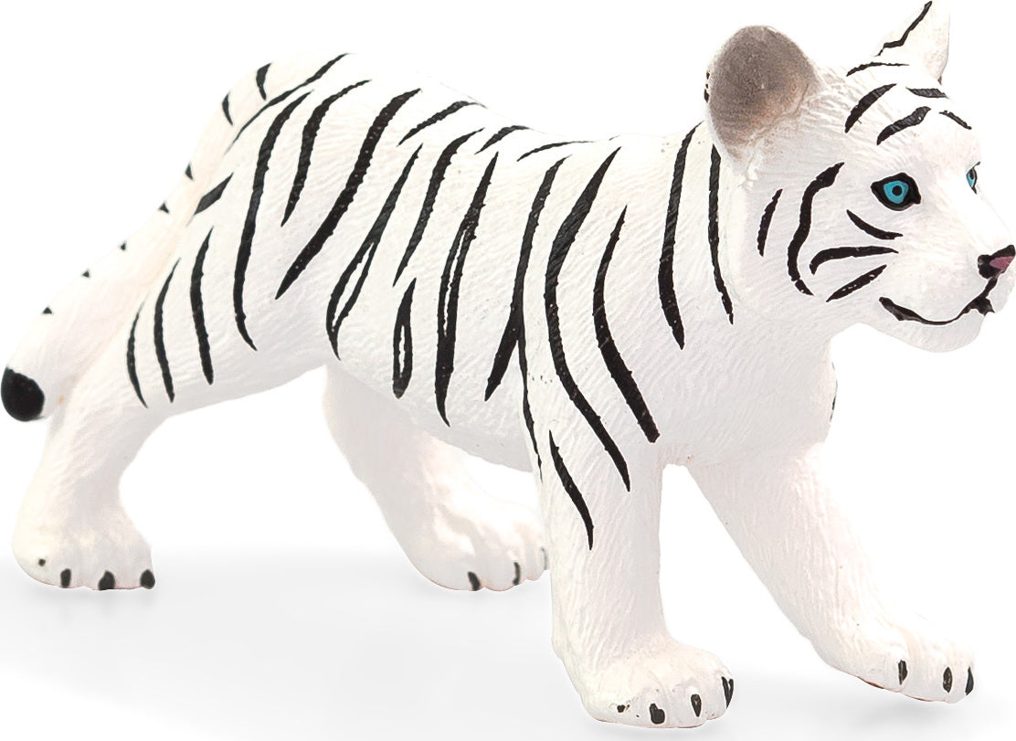 White Tiger cub standing