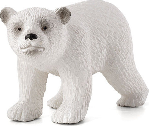 Polar Bear Cub Walking