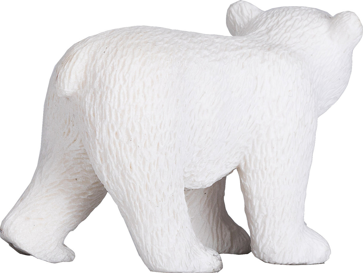 Polar Bear Cub Walking