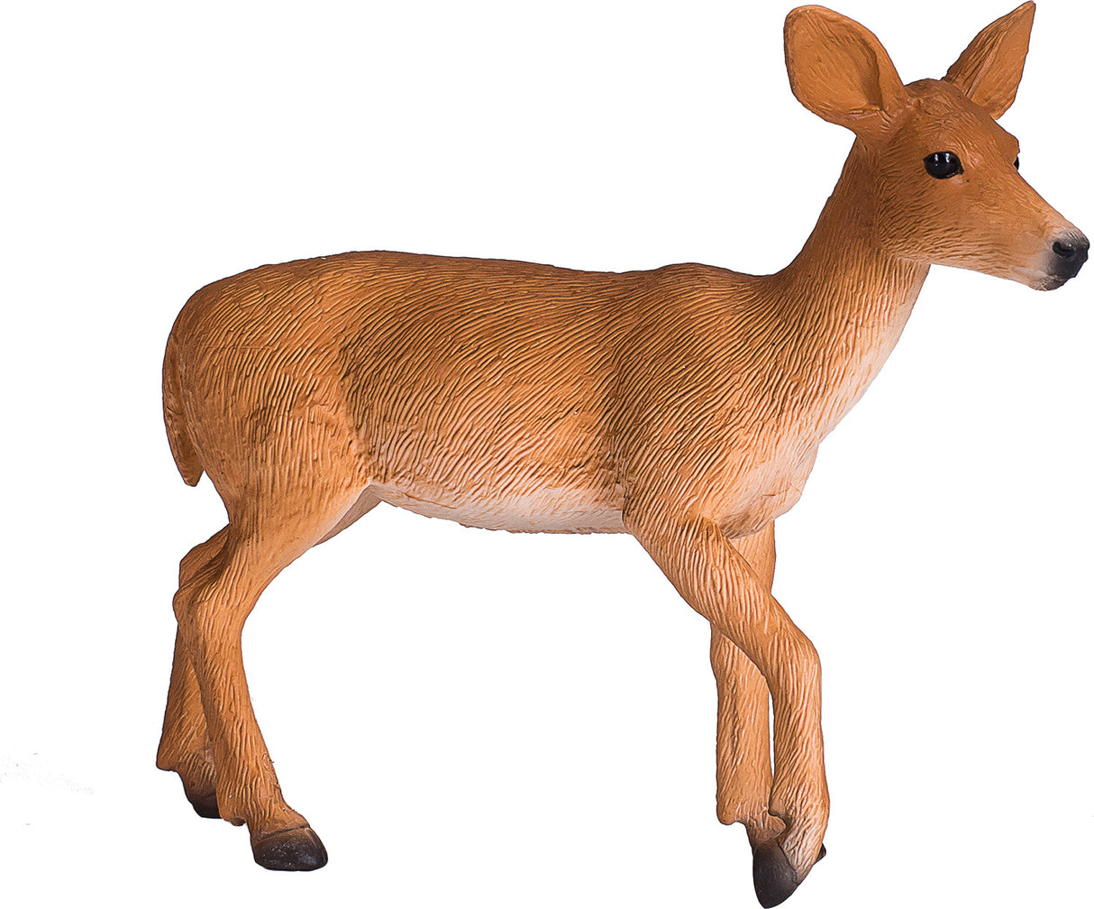 White Tailed Deer