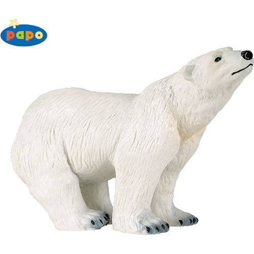 Standing Polar Bear