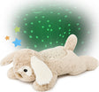 Dream Buddies - Patch the Puppy