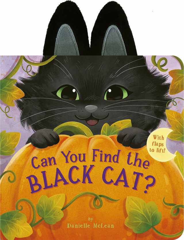 Can You Find the Black Cat?: With flaps to lift!