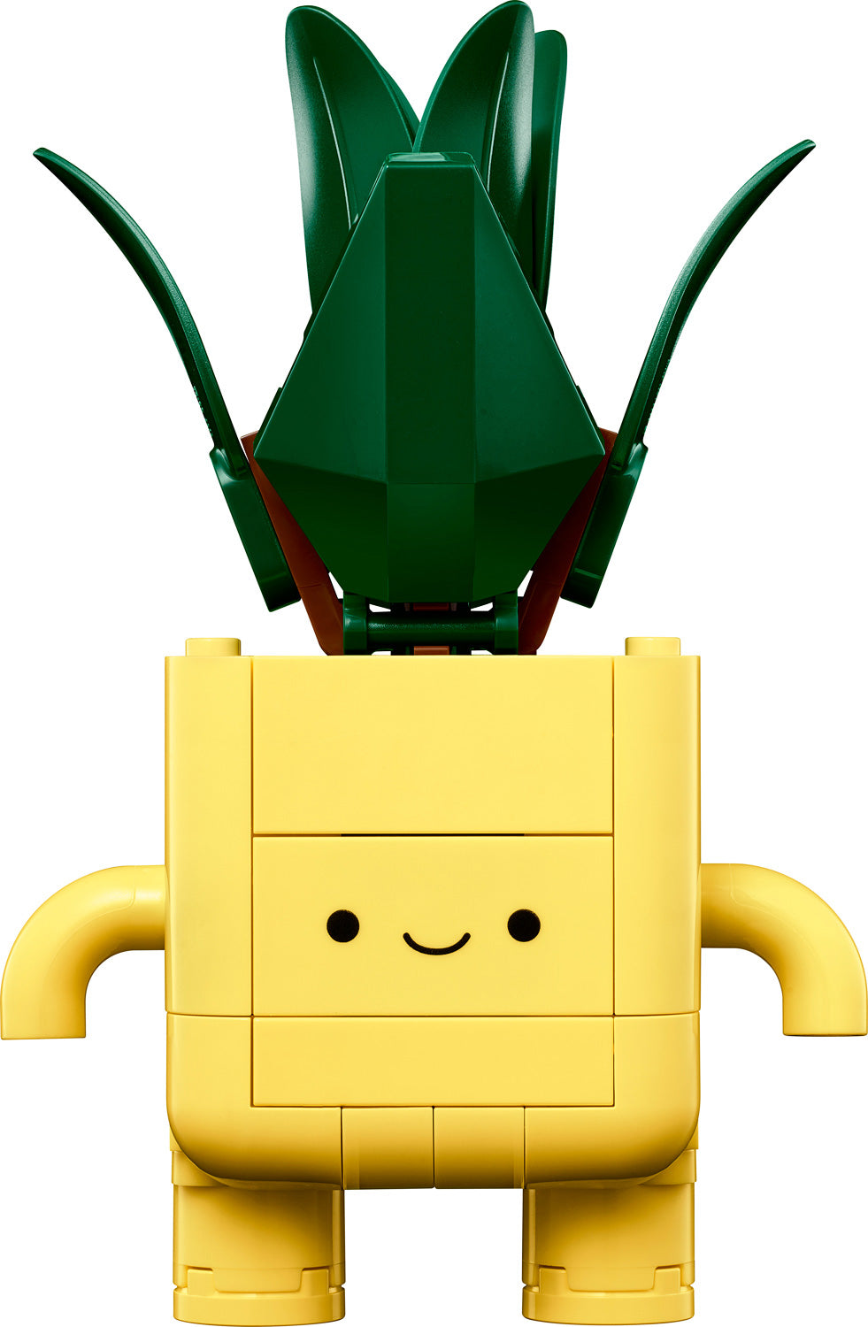 LEGO BOTANICALS Happy Plants