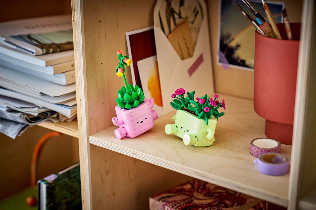 BOTANICALS Rocking Plants