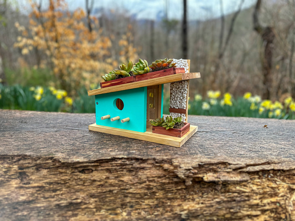 Modern Birdhouse Woodworking Kit