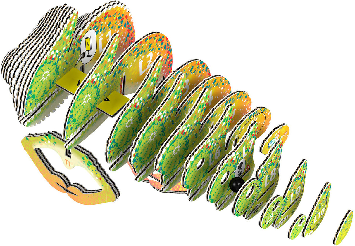 Eugy Chameleon 3D Cardboard Model Kit