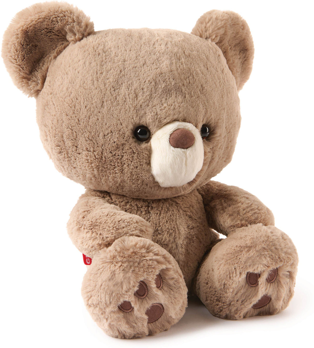 GUND Forever Friends Promise: Kai Bear