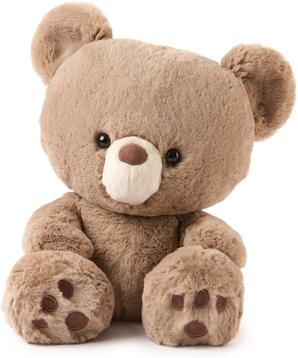 GUND Forever Friends Promise: Kai Bear