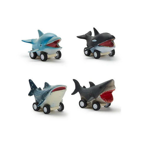 Reef Racers Pull Back Toy