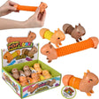 7.5" Capybara Fidget Pop Tube (assorted)