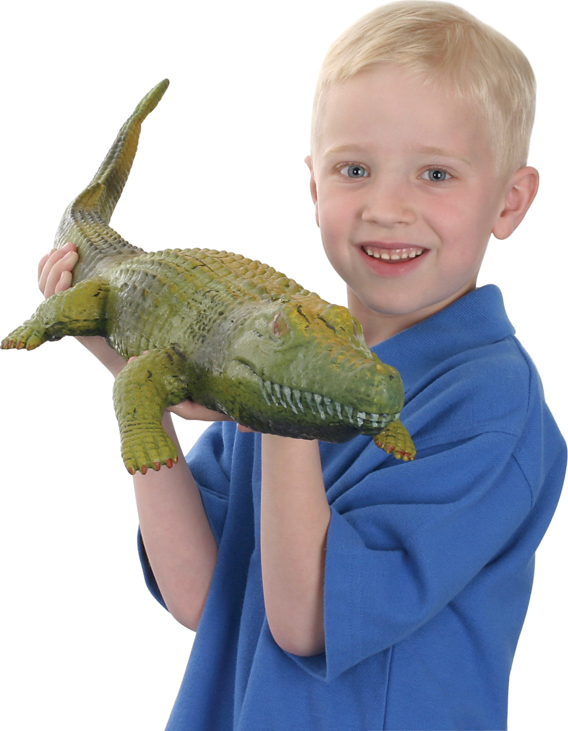 Ginormous Grow Crocodile (Assorted)