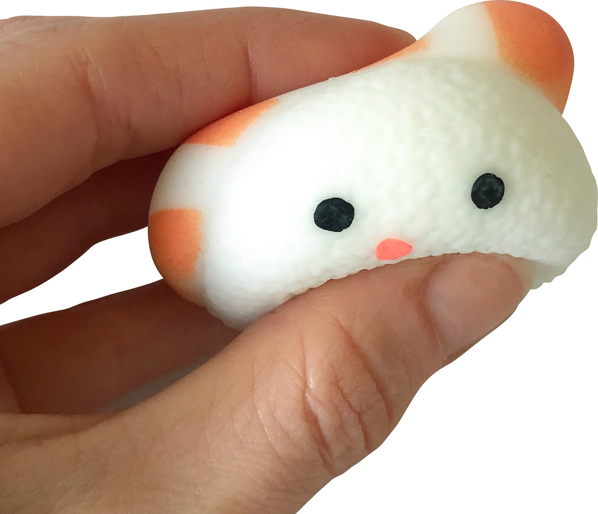 Squishy Sushi