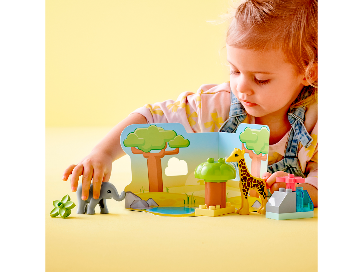 10971 Wild Animals of Africa