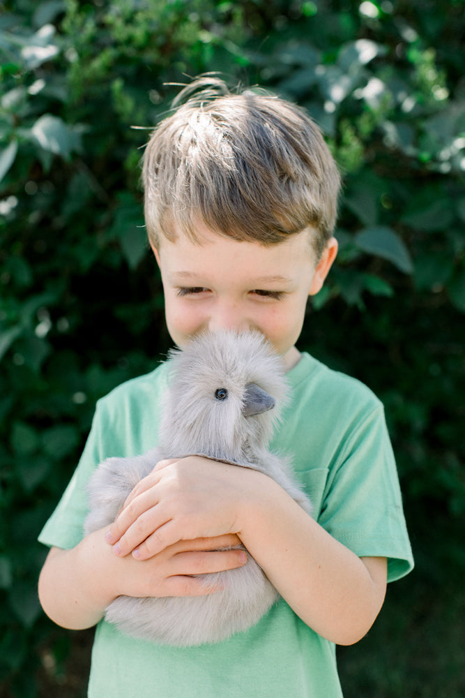 Zara Gray Silkie Chick