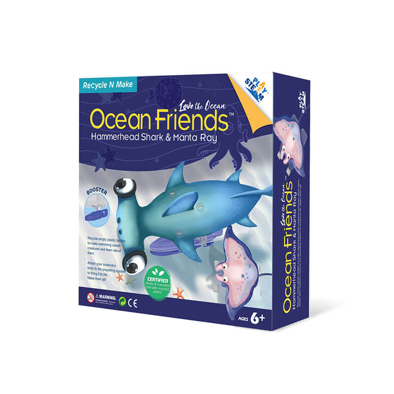 Ocean Friends - Hammerhead