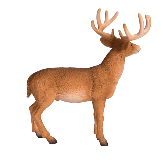 MOJO White Tailed Deer Buck