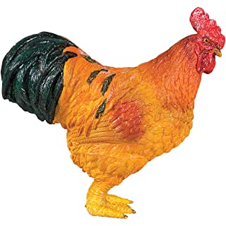Rooster