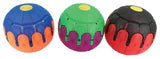 Flying Disc Ball