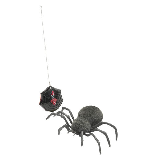 RC Spooky Spider