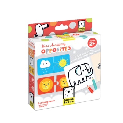 Kids Acadamy Opposites Box 2+