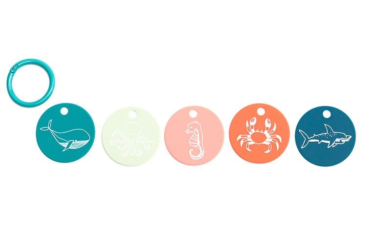 Flashcards - Under the Sea