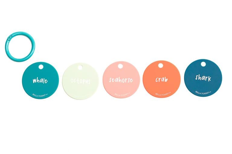 Flashcards - Under the Sea