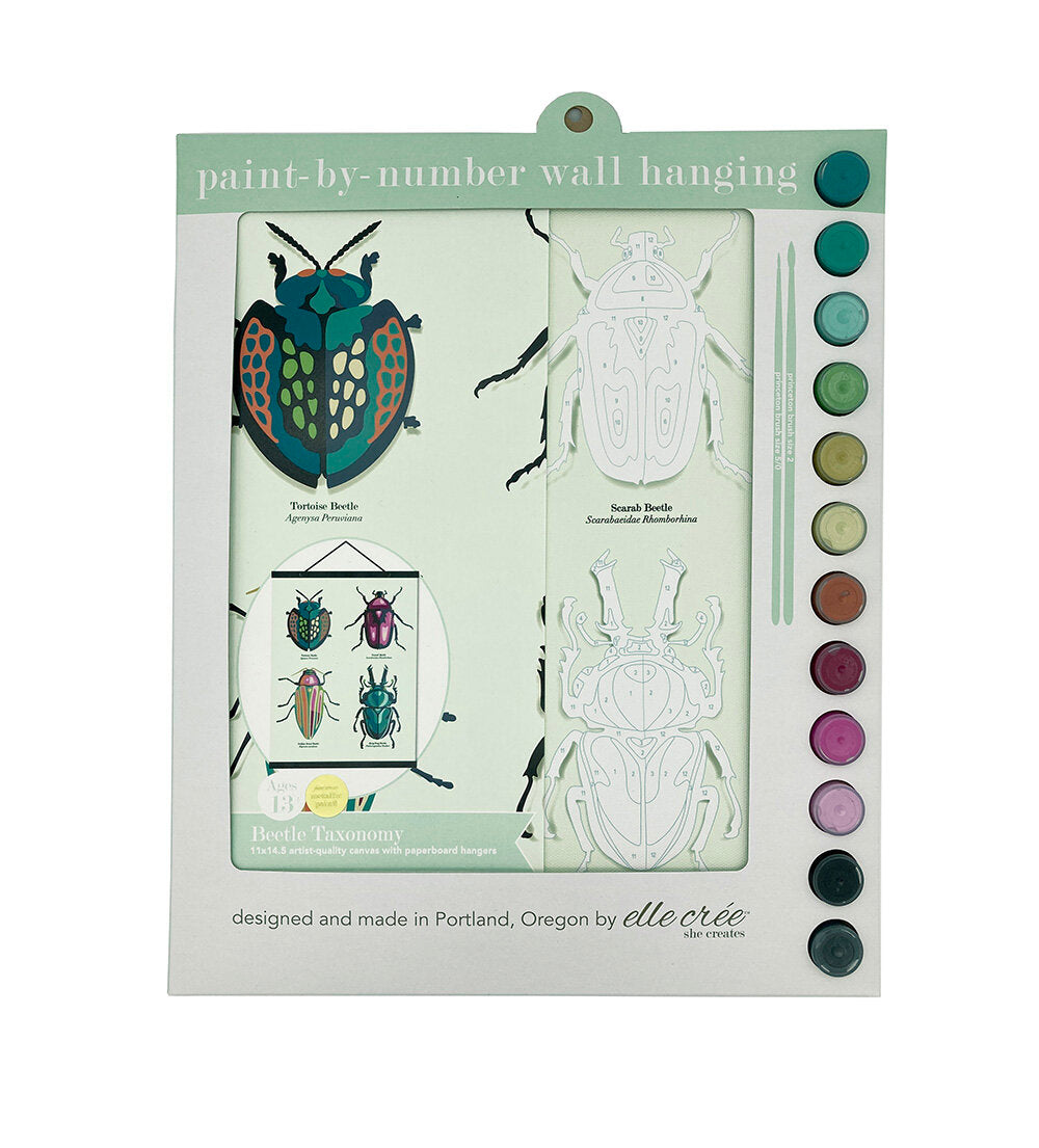 Wall Paint by Number - Beetles