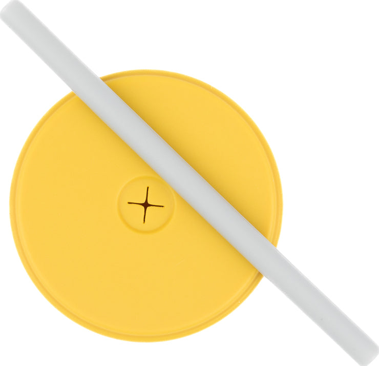 Hello Sunshine Straw Conversion Set